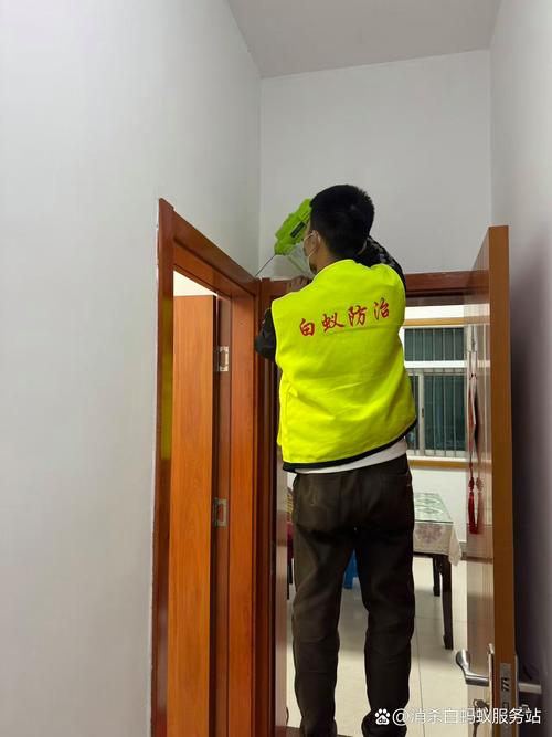 溧陽白蟻防治全指南 專業服務與咨詢電話詳解